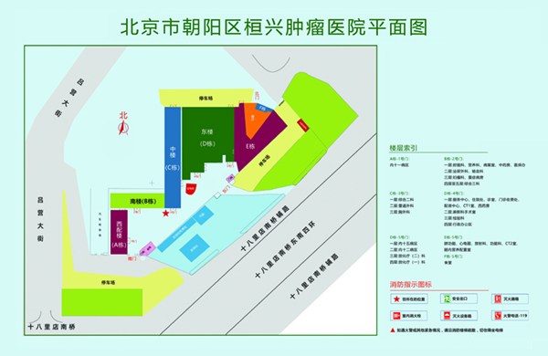 爆插美女后入肥臀视频北京市朝阳区桓兴肿瘤医院平面图